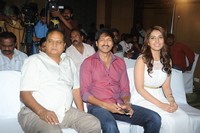 Jil Movie Success Meet Photos